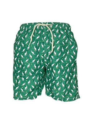 Boxer kangaroo tennis 57