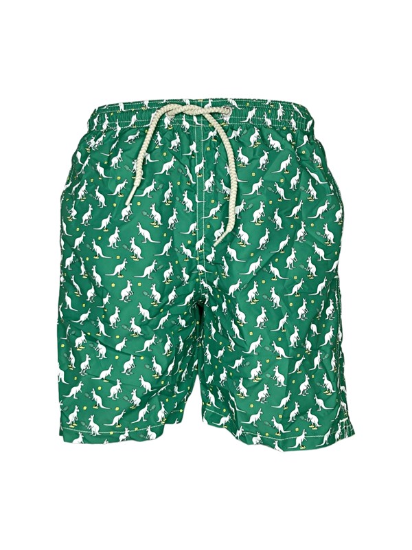 Boxer kangaroo tennis 57