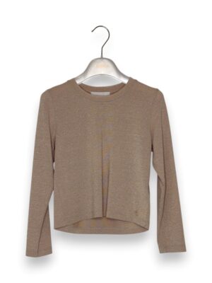 0EA8D78D04537EC468F3FE941931A2D3_ T-shirt lurex