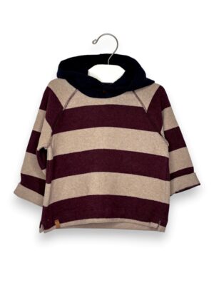 249C93F1AC37176194BD706A3CEAB647_ Felpa cappuccio 3 colori riga grande