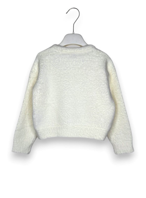 1FAD72DDE8ED6DBEAE955435E8041DD9_ Girocollo peloso+paillettes